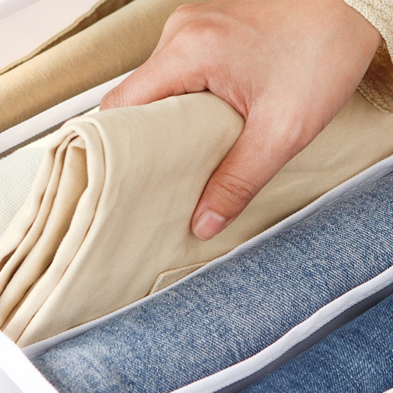 Compartment Storage Organizer