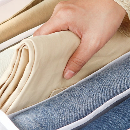 Compartment Storage Organizer