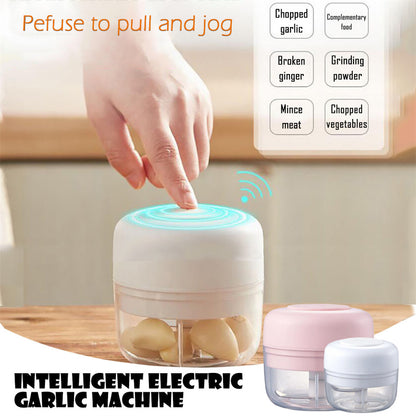 Wireless Electric Food Chopper