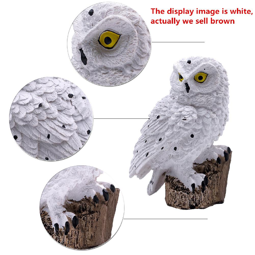 LED Owl Solar Light