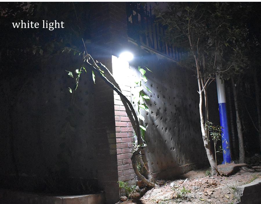 LED Solar Light (Adjustable With Controller )